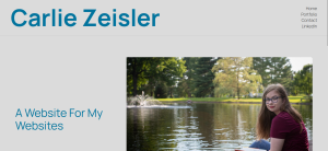 Screenshot of the portfolio home page